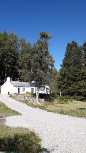 Torgoyle Cottage
